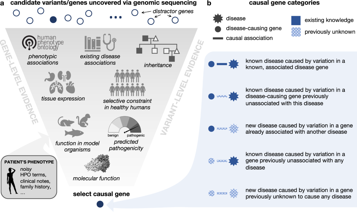 Simulation of undiagnosed patients with novel genetic conditions | Nature  Communications