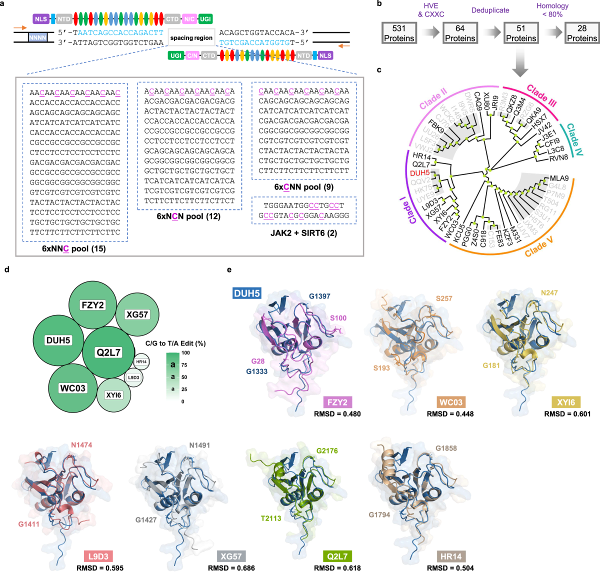 Developing mitochondrial base editors with diverse context compatibility  and high fidelity via saturated spacer library | Nature Communications