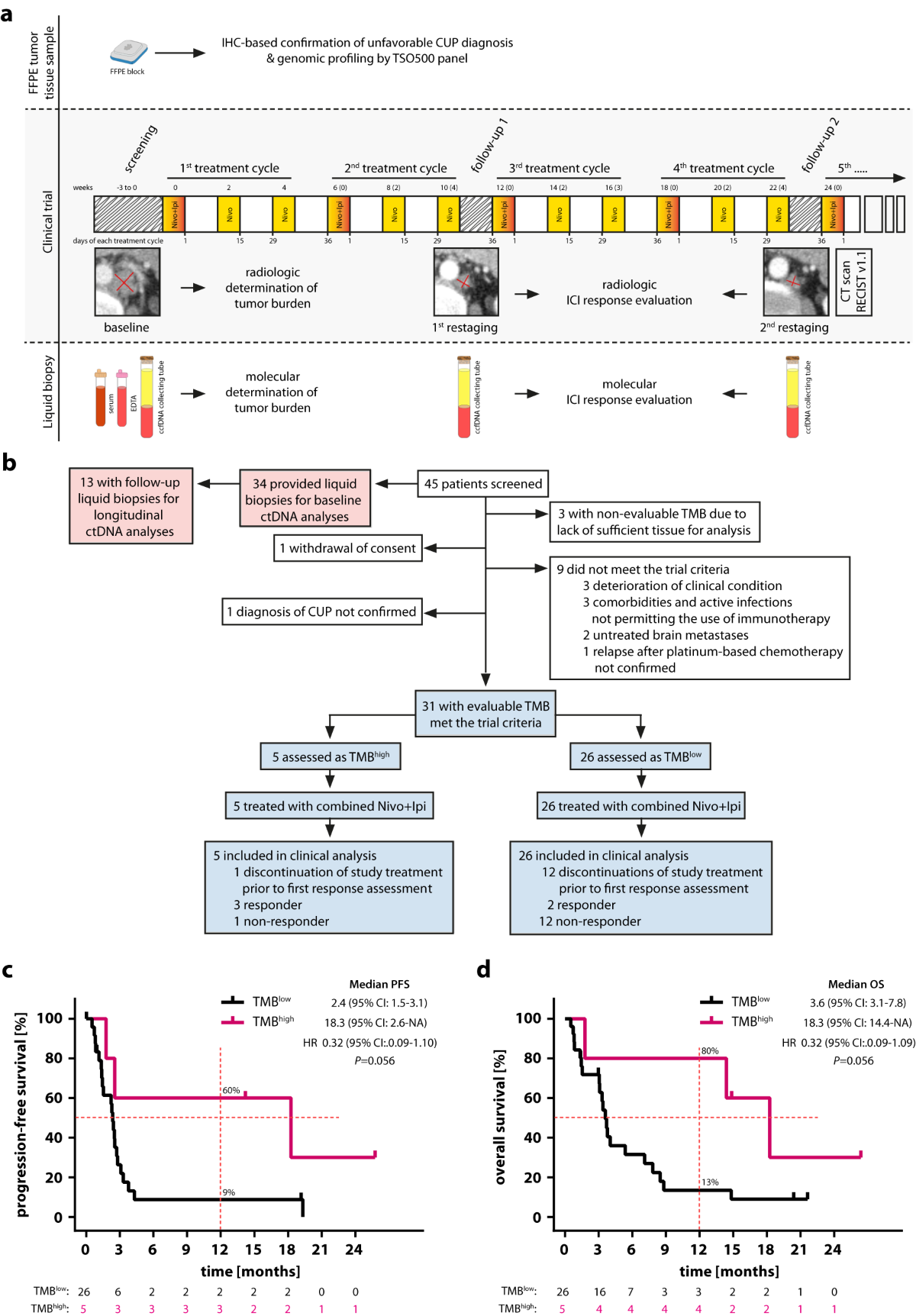Nivolumab and ipilimumab in recurrent or refractory cancer of unknown  primary: a phase II trial | Nature Communications