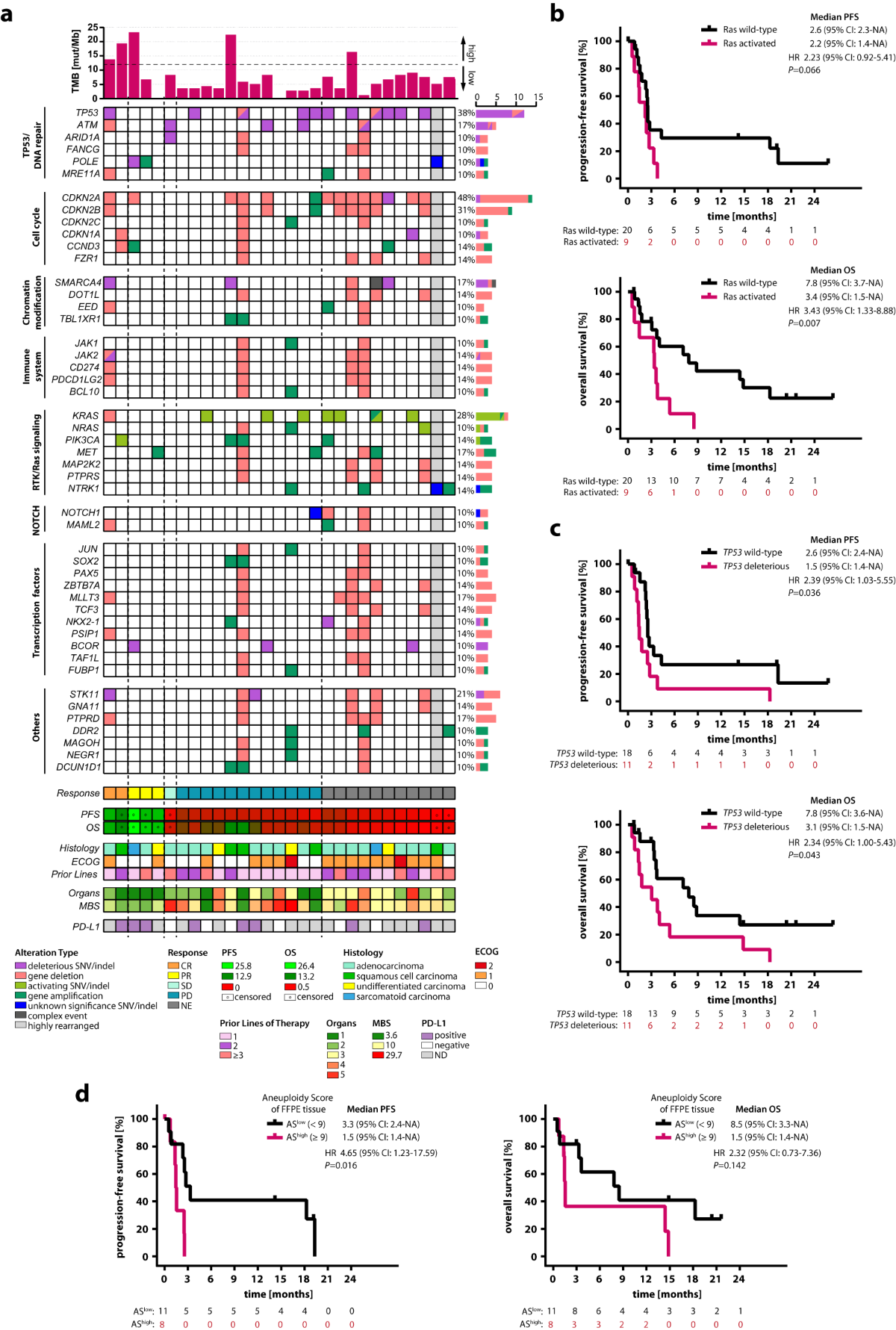 Nivolumab and ipilimumab in recurrent or refractory cancer of unknown  primary: a phase II trial | Nature Communications