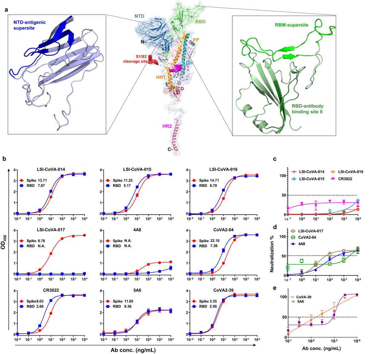 Defining neutralization and allostery by antibodies against COVID-19  variants | Nature Communications