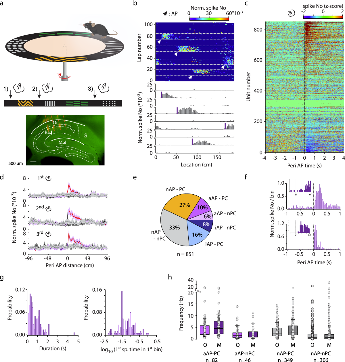 Aversive stimulus-tuned responses in the CA1 of the dorsal hippocampus |  Nature Communications