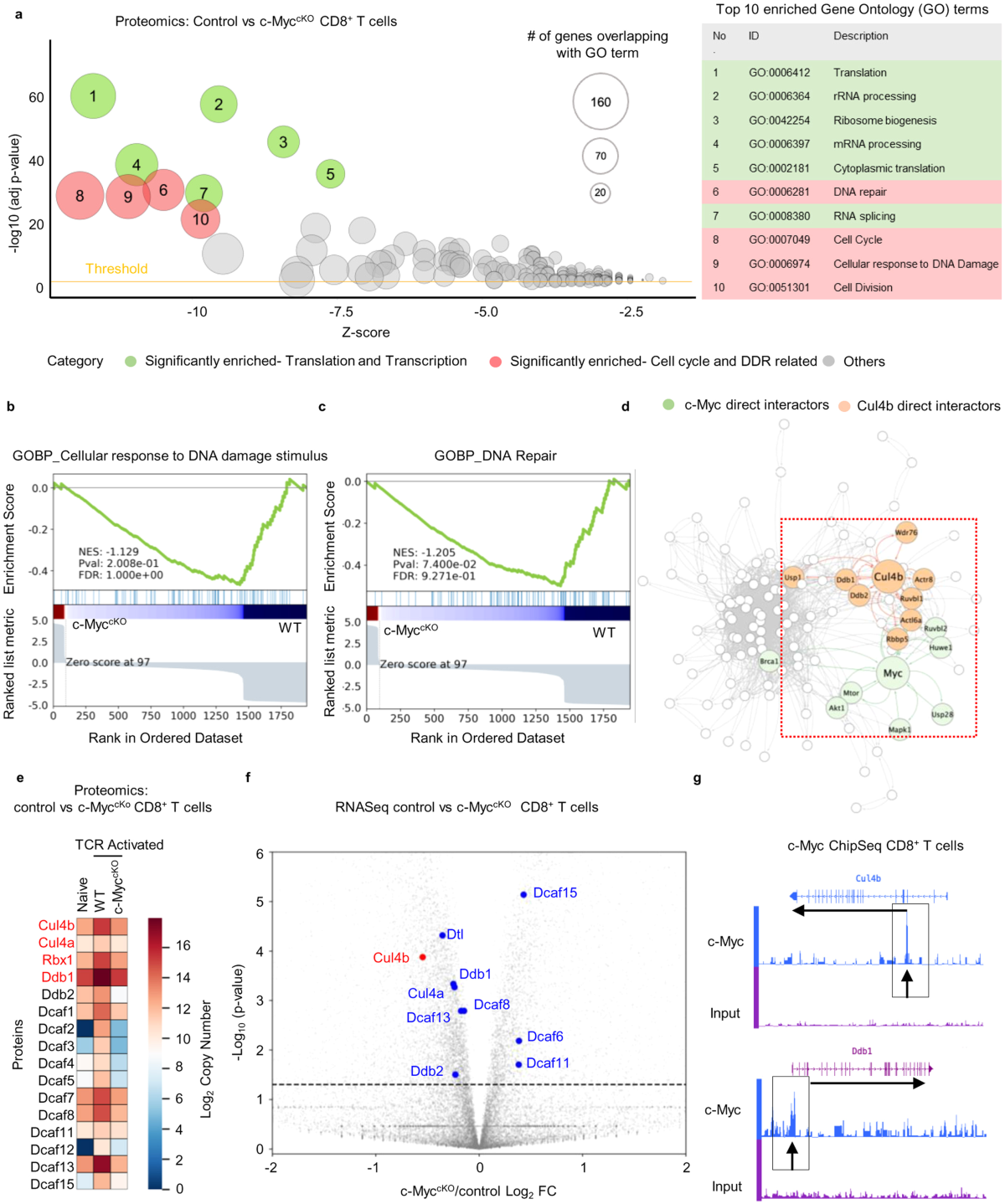 c-Myc uses Cul4b to preserve genome integrity and promote antiviral CD8+ T cell immunity | Nature Communications form-sf-368-fill-out-sign-online-and-download-fillable-pdf-templateroller