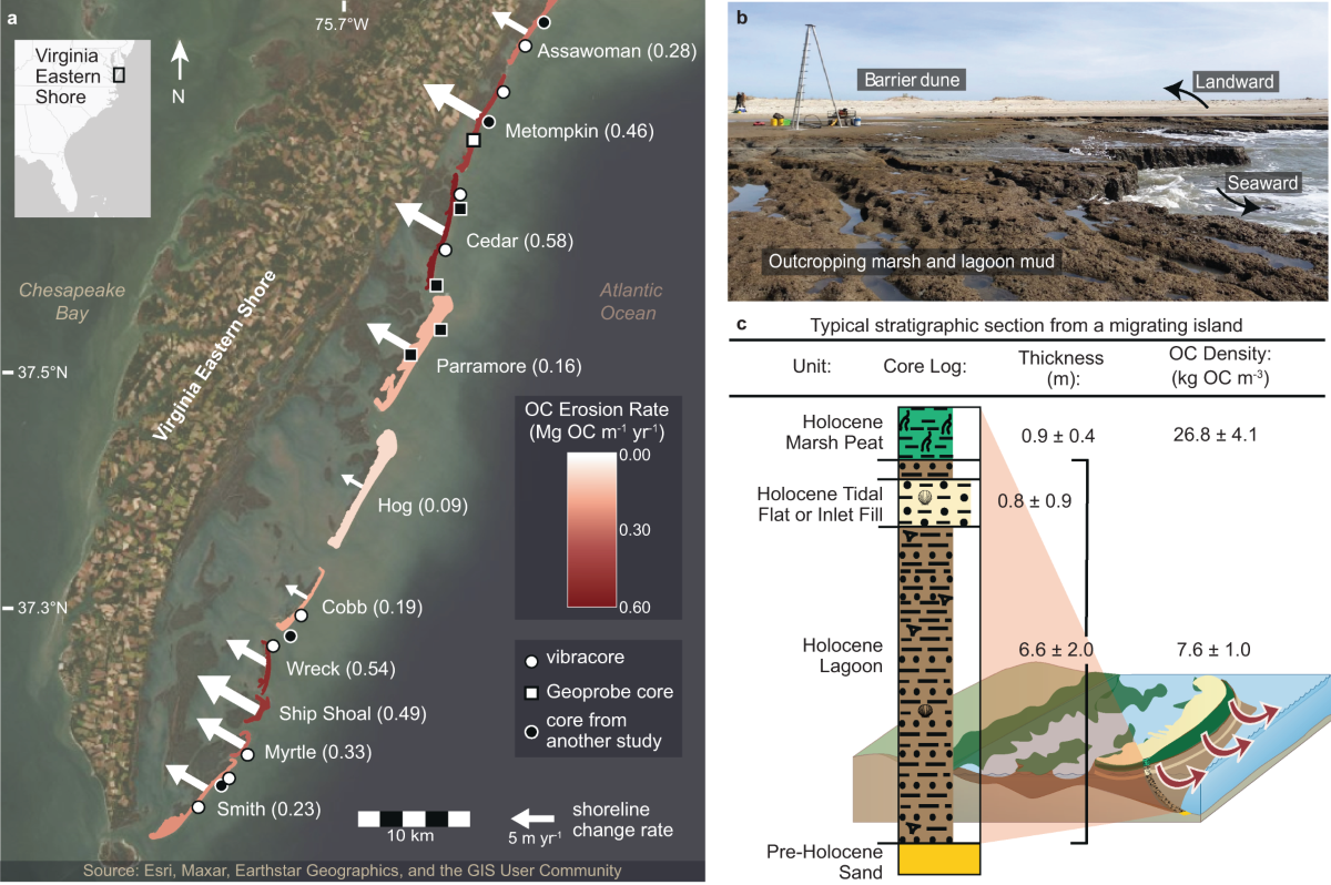 Official Trailer, image size:1200x798