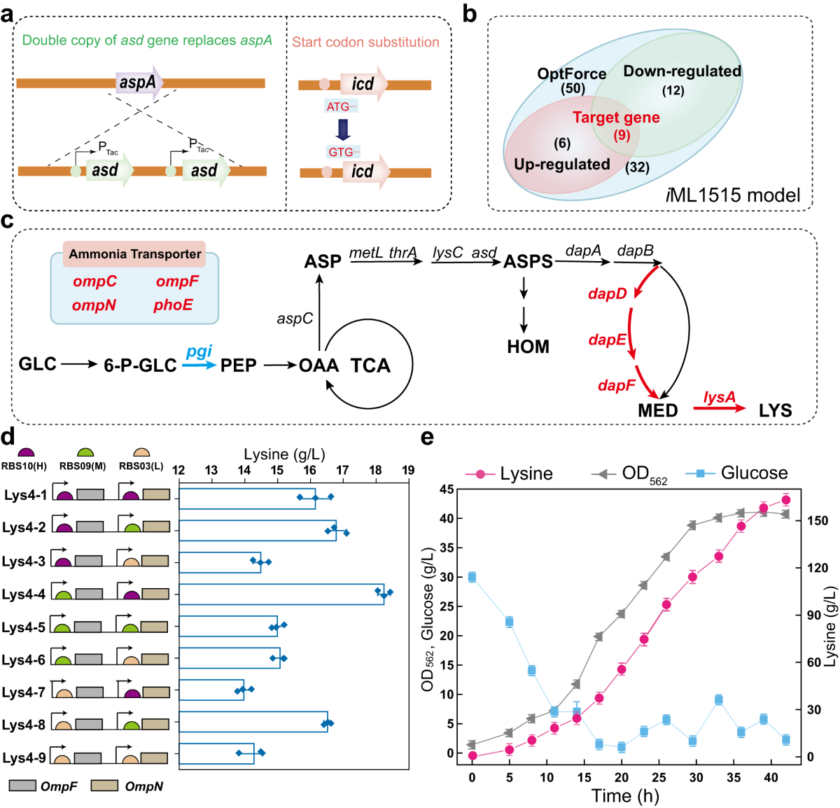 RETRACTED ARTICLE: Systems engineering of Escherichia coli for high-level  glutarate production from glucose | Nature Communications