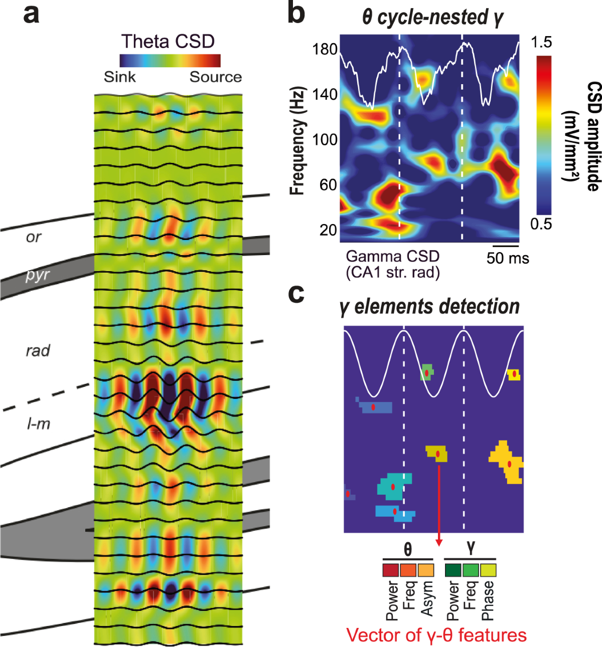 Gamma oscillatory complexity conveys behavioral information in hippocampal  networks | Nature Communications