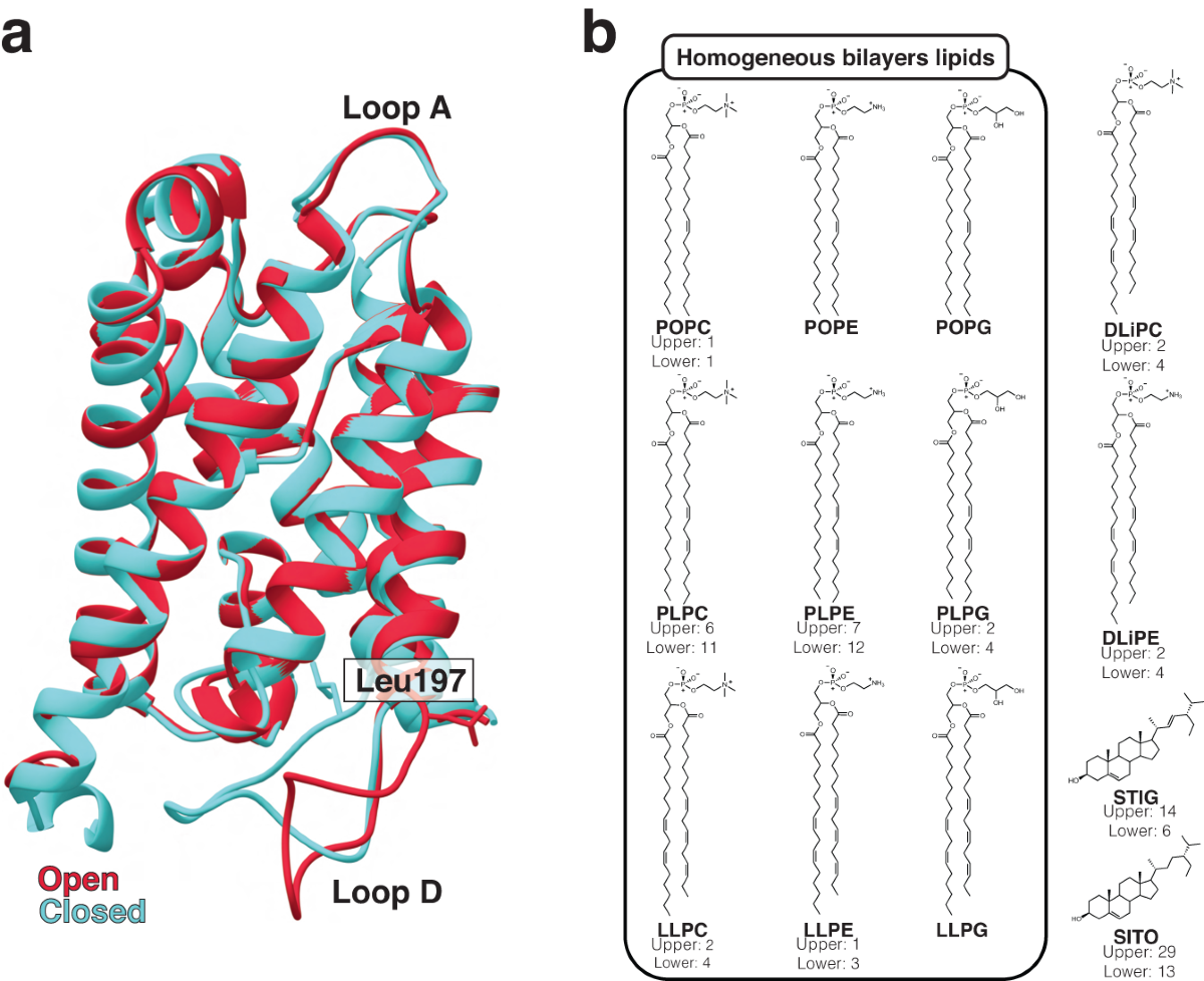 functional-regulation-of-aquaporin-dynamics-by-lipid-bilayer-composition-nature-communications