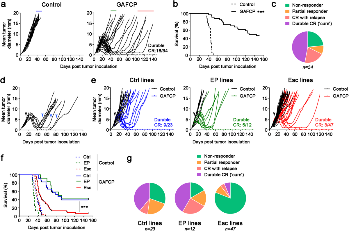 Plasticity-induced repression of Irf6 underlies acquired 