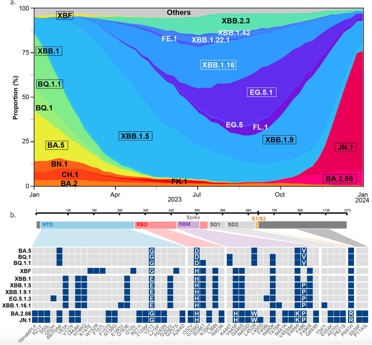 Distinct evolution of SARS-CoV-2 Omicron XBB and BA.2.86/JN.1 lineages  combining increased fitness and antibody evasion | Nature Communications