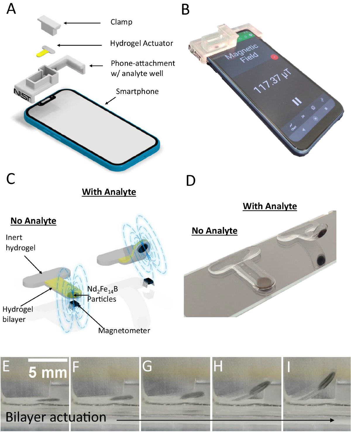 Quantitative, high-sensitivity measurement of liquid analytes using a  smartphone compass | Nature Communications