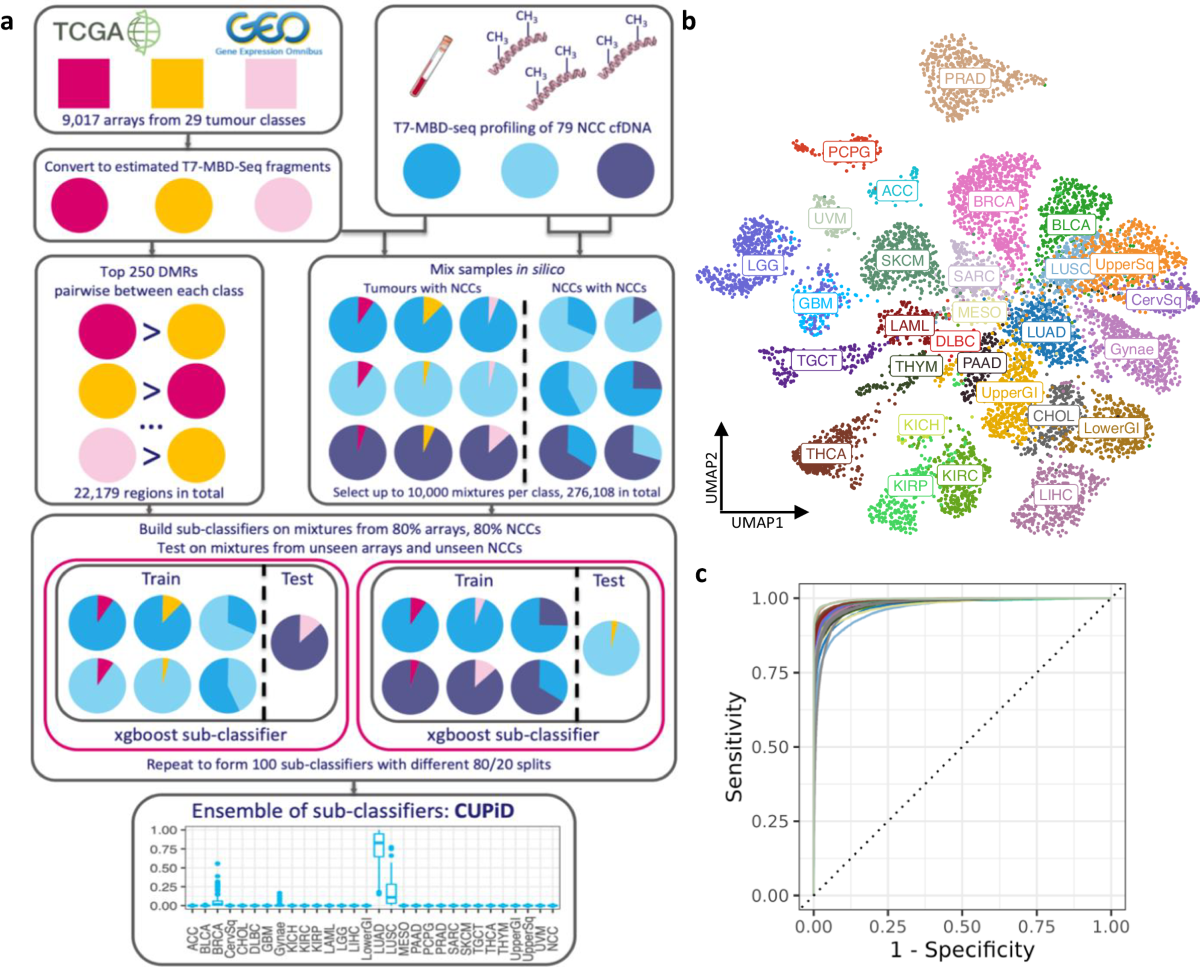a complex diagram with various colored boxes and arrows