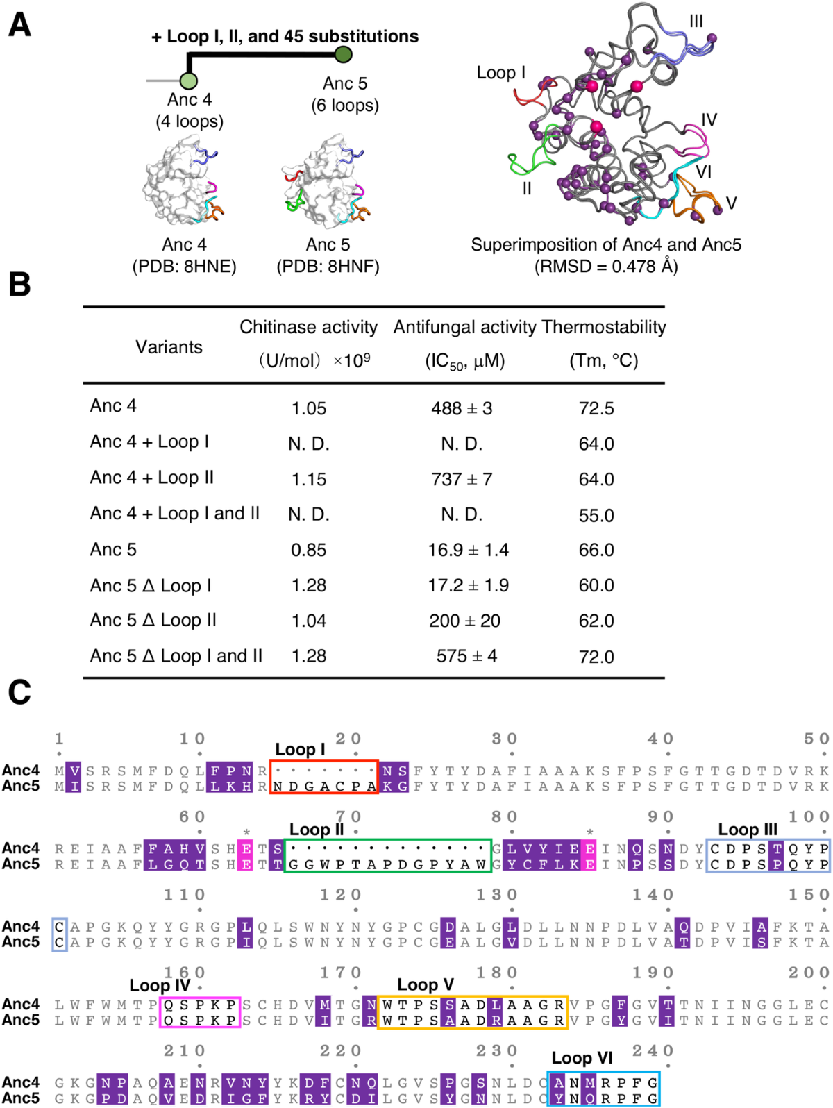 Remote loop evolution reveals a complex biological function for chitinase  enzymes beyond the active site | Nature Communications, image size:1200x1596