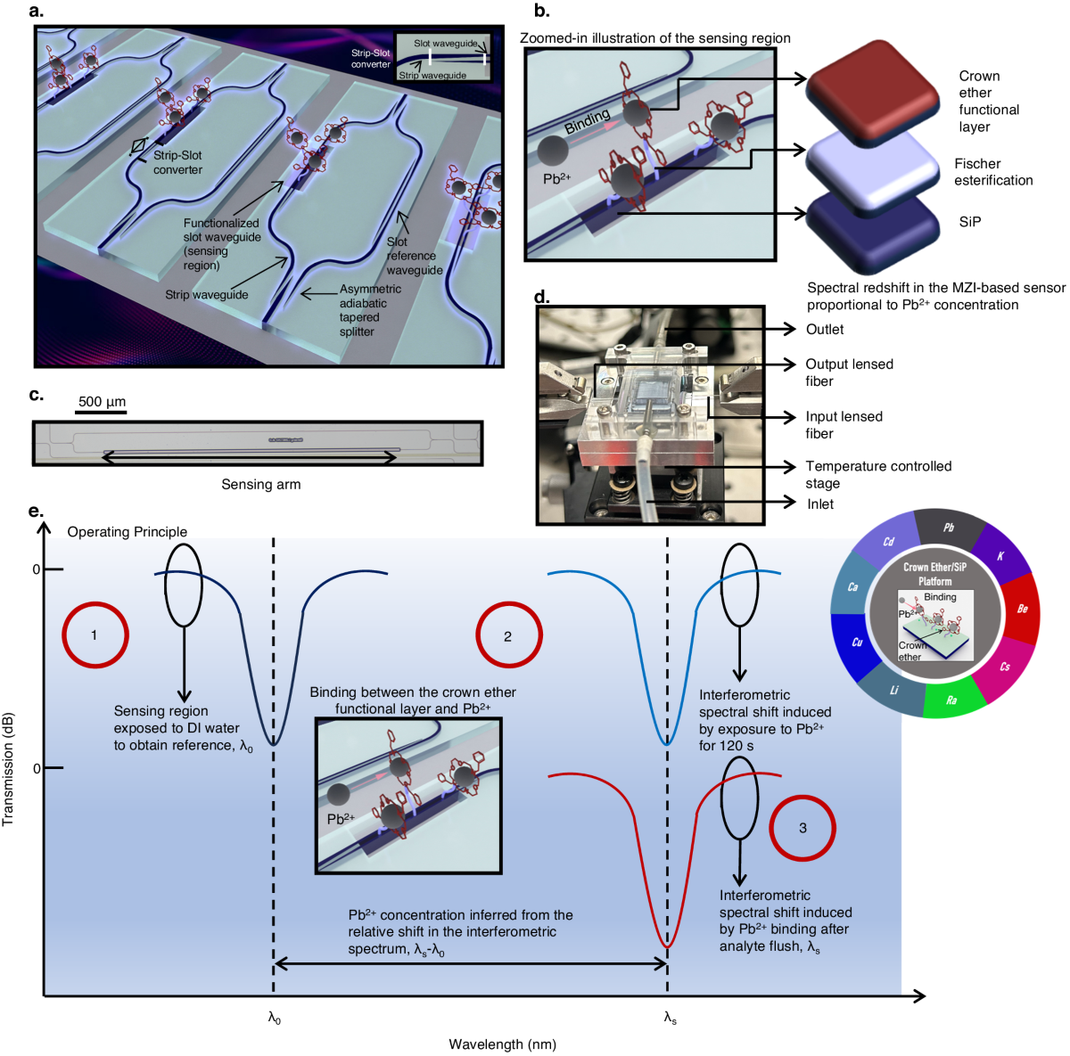 Crown ether decorated silicon photonics for safeguarding against lead  poisoning | Nature Communications