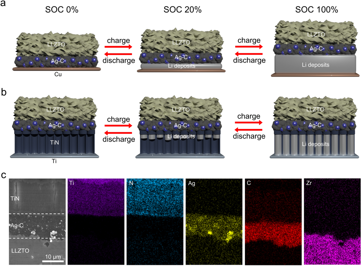 Near-strain-free anode architecture enabled by interfacial diffusion creep  for initial-anode-free quasi-solid-state batteries | Nature Communications