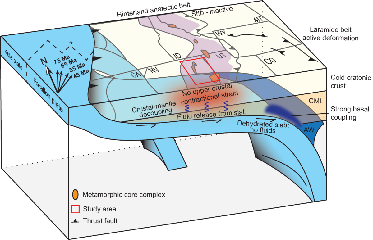 Hot Cordilleran hinterland promoted lower crust mobility and decoupling of  Laramide deformation | Nature Communications