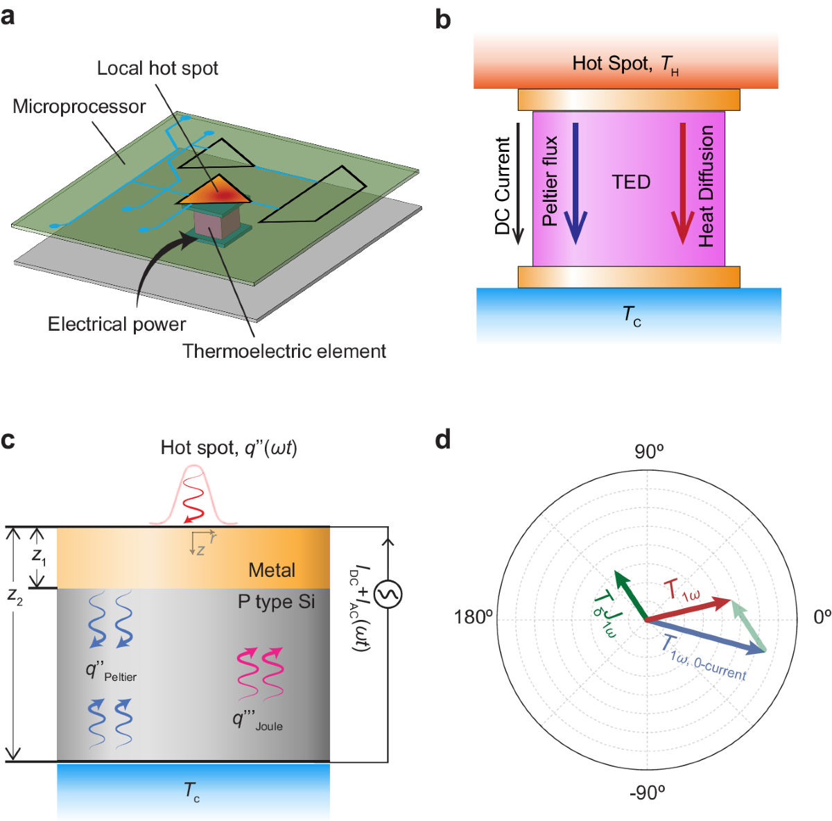 freezer temperature distribution hot spots diagram