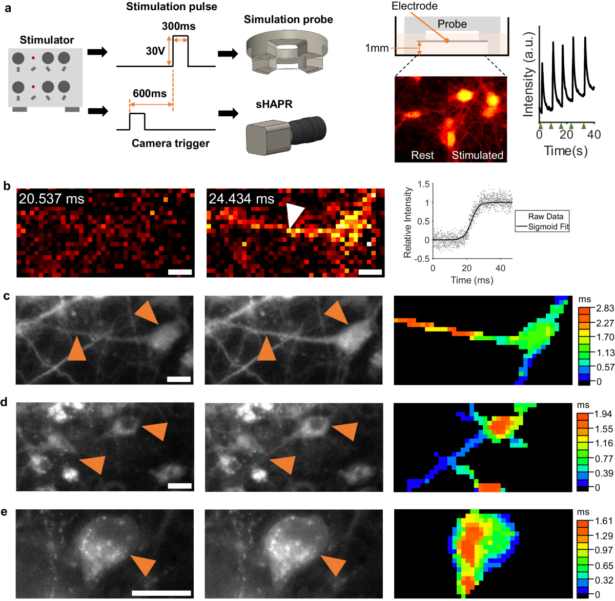 送料無料MABELSTAR SCMOS High-Speed USB2.0 5.0M Digital Microscope Eyepiece Camera Support Windows/Linux/Mac並行輸入 MABELSTAR E3CMOS 2.3M Microscope⁄Telescope Camera Nigeria | Ubuy