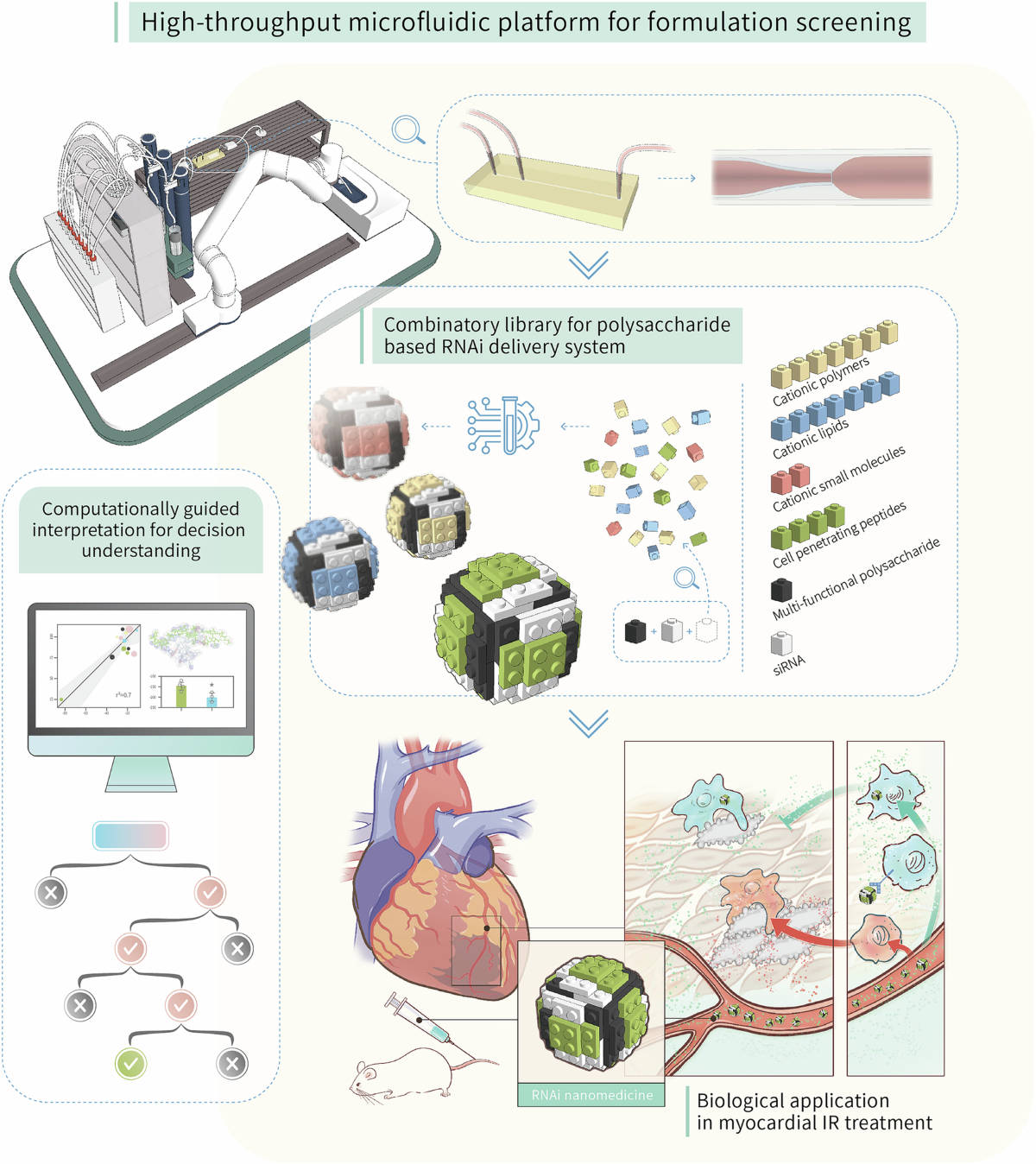 Comparative optimization of polysaccharide-based nanoformulations 