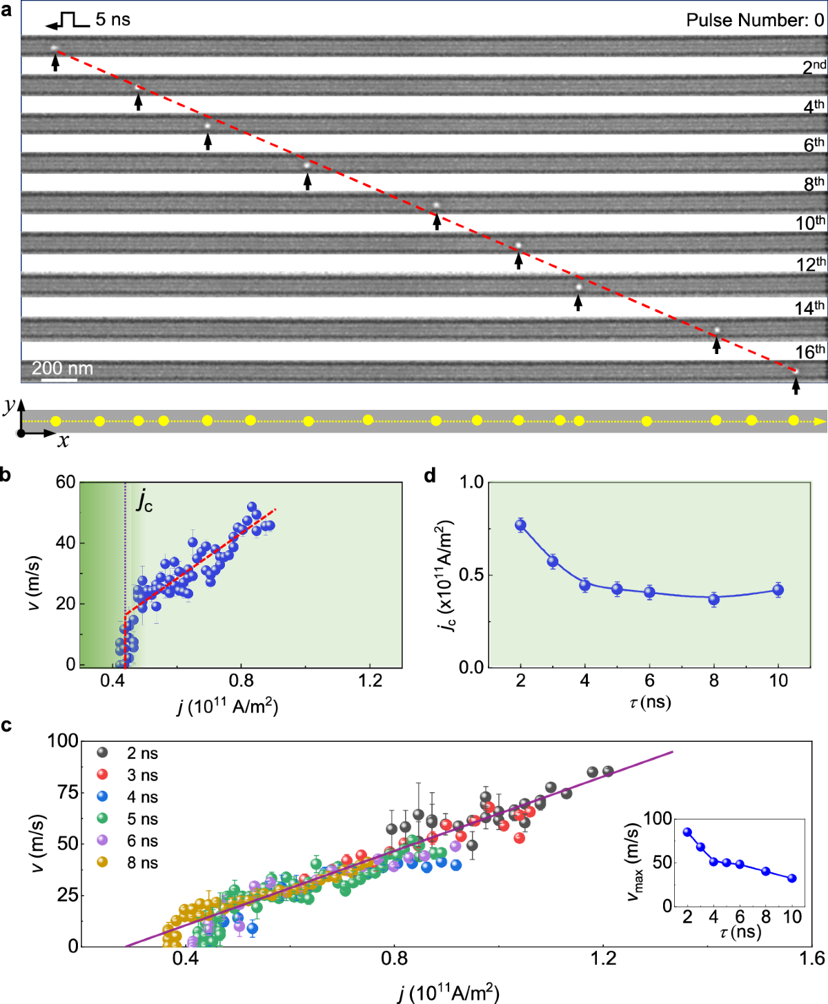 Skyrmion moved by current pulses across an ultra-narrow nanostripe