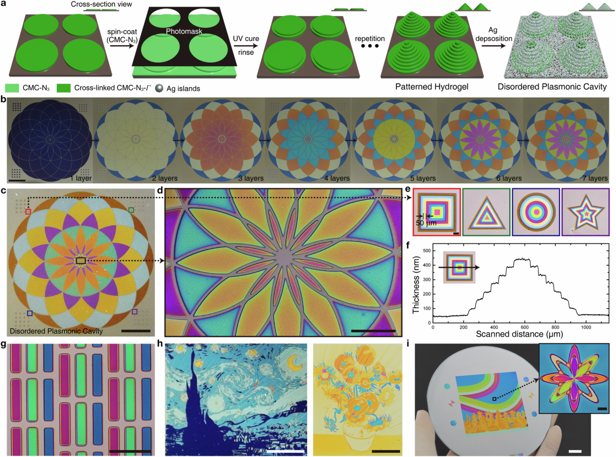 Chemically and geometrically programmable photoreactive polymers for  transformational humidity-sensitive full-color devices | Nature  Communications