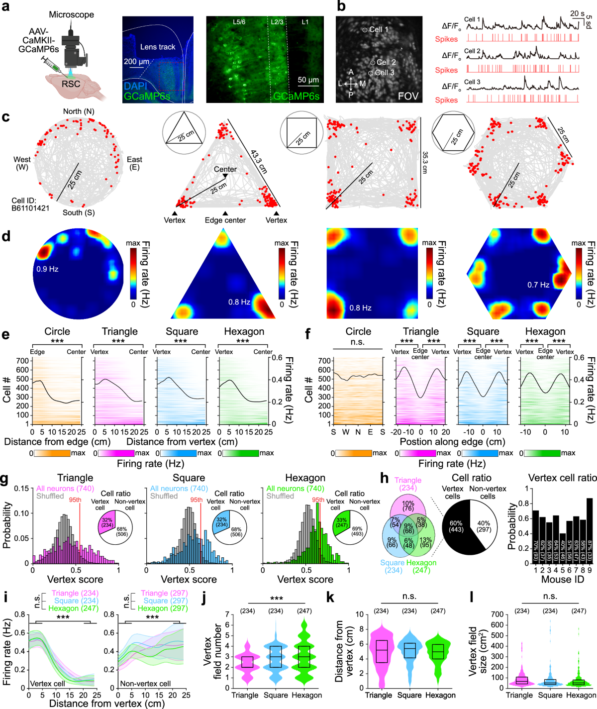 Circumstance \u0026 Relationship Dedications that make a difference, image size:1200x1425