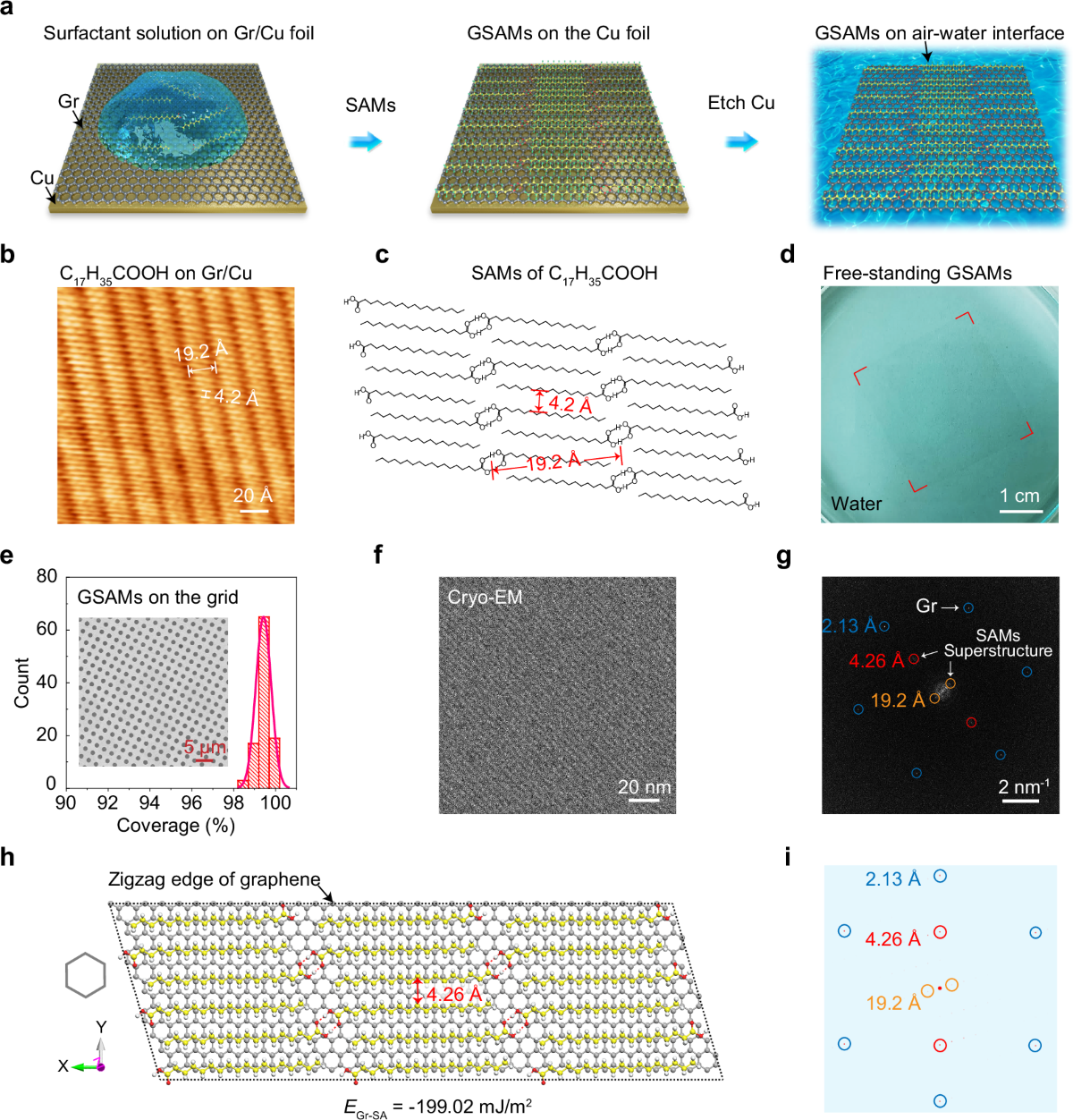 Self-assembled superstructure alleviates air-water interface effect in cryo-EM | Nature Communications self-assembled-superstructure-alleviates-air-water-interface-effect-in-cryo-em-nature-communications