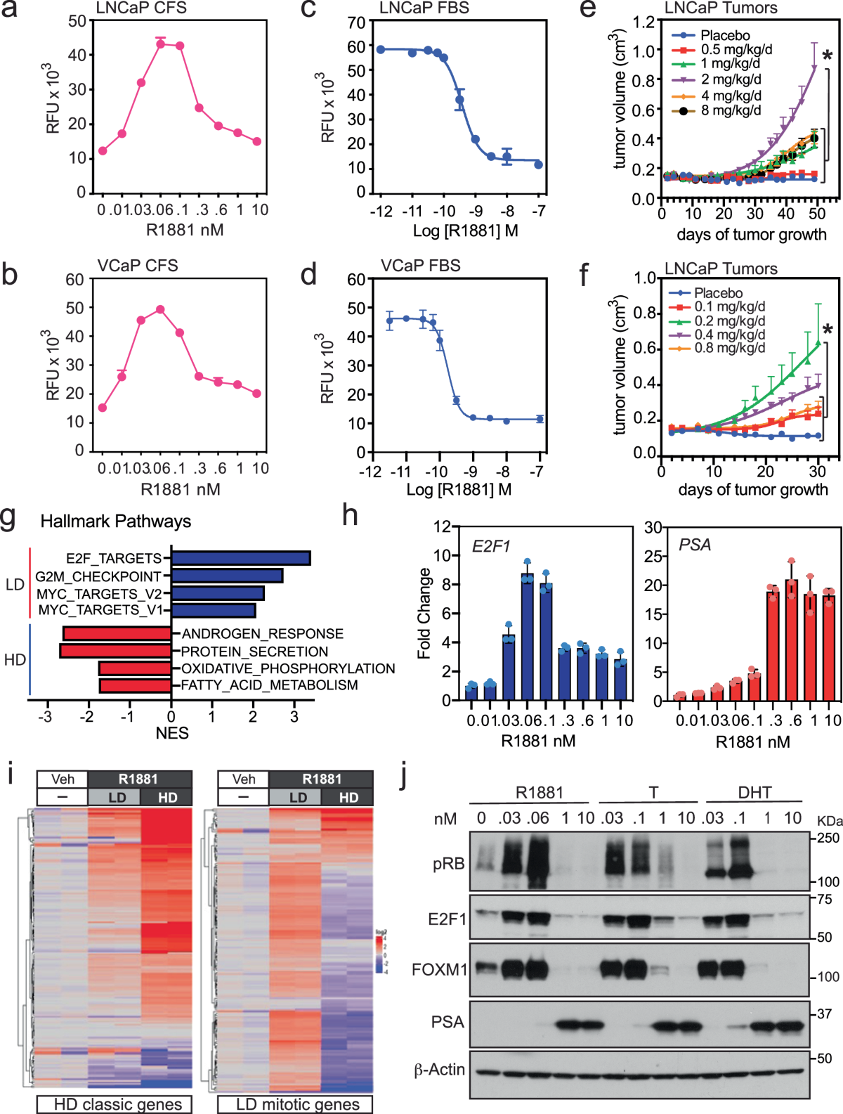 androgen-receptor-monomers-and-dimers-regulate-opposing-biological-processes-in-prostate-cancer-cells-nature-communications