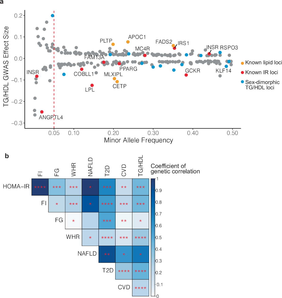Genome-wide discovery and integrative genomic characterization of insulin  resistance loci using serum triglycerides to HDL-cholesterol ratio as a  proxy | Nature Communications