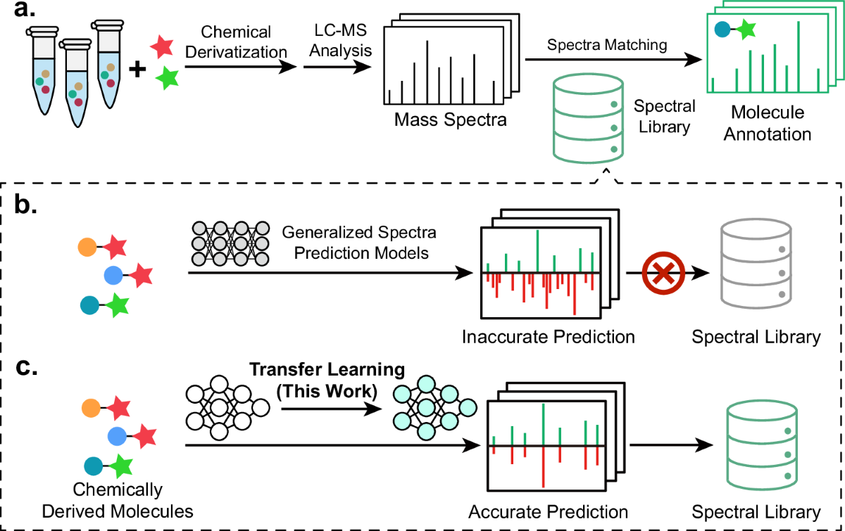 Deep learning prediction of electrospray ionization tandem mass spectra of  chemically derived molecules | Nature Communications