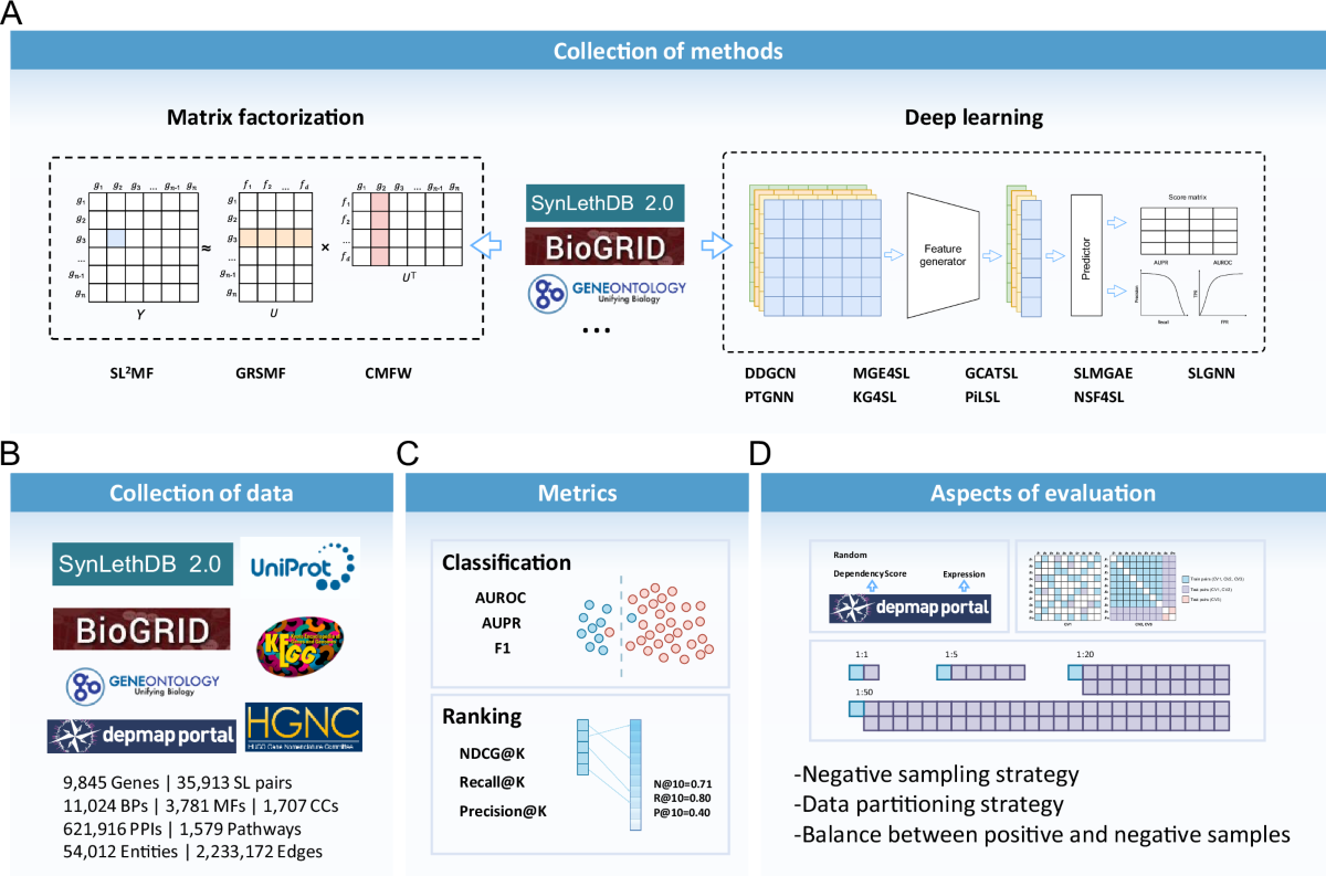 Benchmarking machine learning methods for synthetic lethality prediction in  cancer | Nature Communications