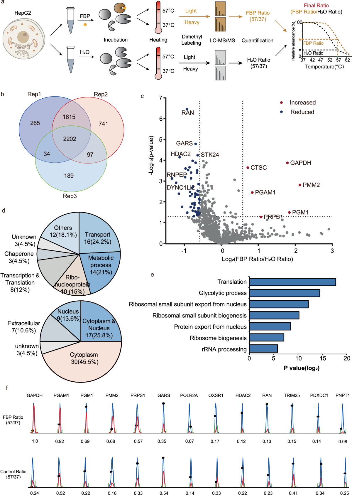 Thermal proteome profiling reveals fructose-1,6-bisphosphate as a phosphate  donor to activate phosphoglycerate mutase 1 | Nature Communications