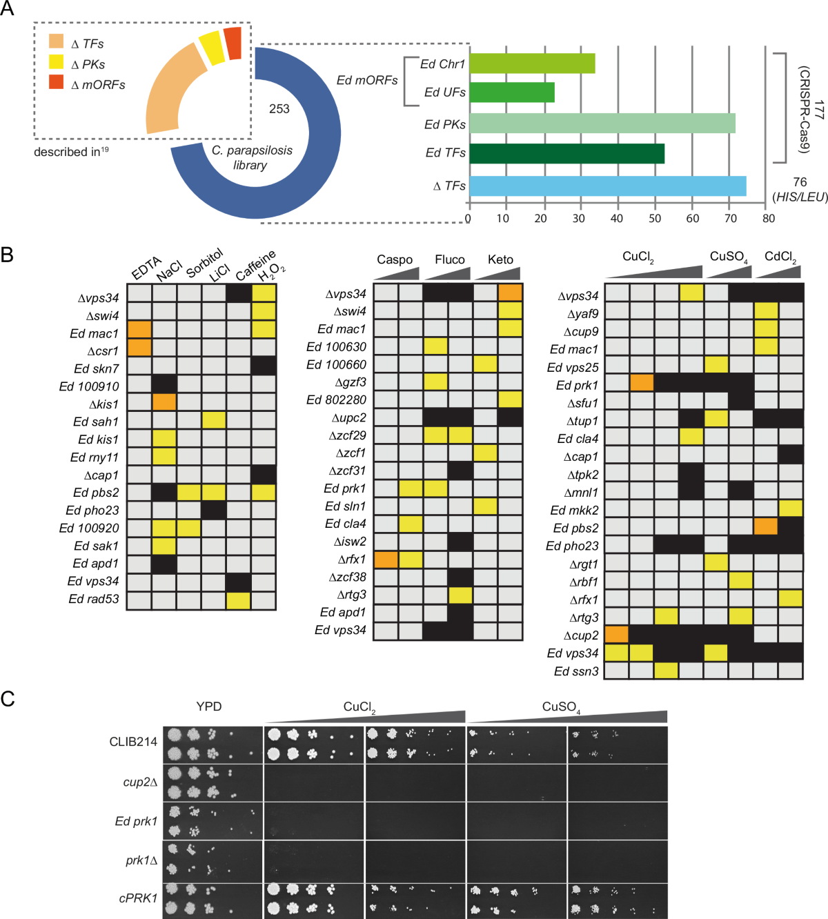 Alternative sulphur metabolism in the fungal pathogen Candida parapsilosis  | Nature Communications