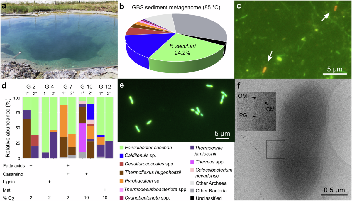 A world of molecules