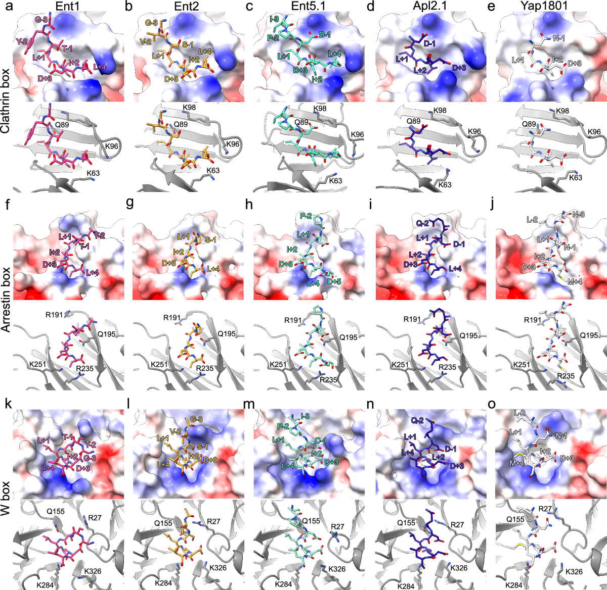 iv glutathione for fatty liver Mitochondrial transplantation and platelet rich plasma for the treatment of  non-alcoholic fatty liver disease