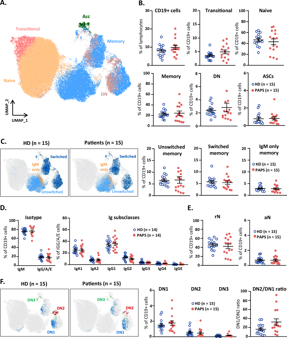Defective germinal center selection results in persistence of self-reactive  B cells from the primary to the secondary repertoire in Primary  Antiphospholipid Syndrome | Nature Communications, image size:1200x1412