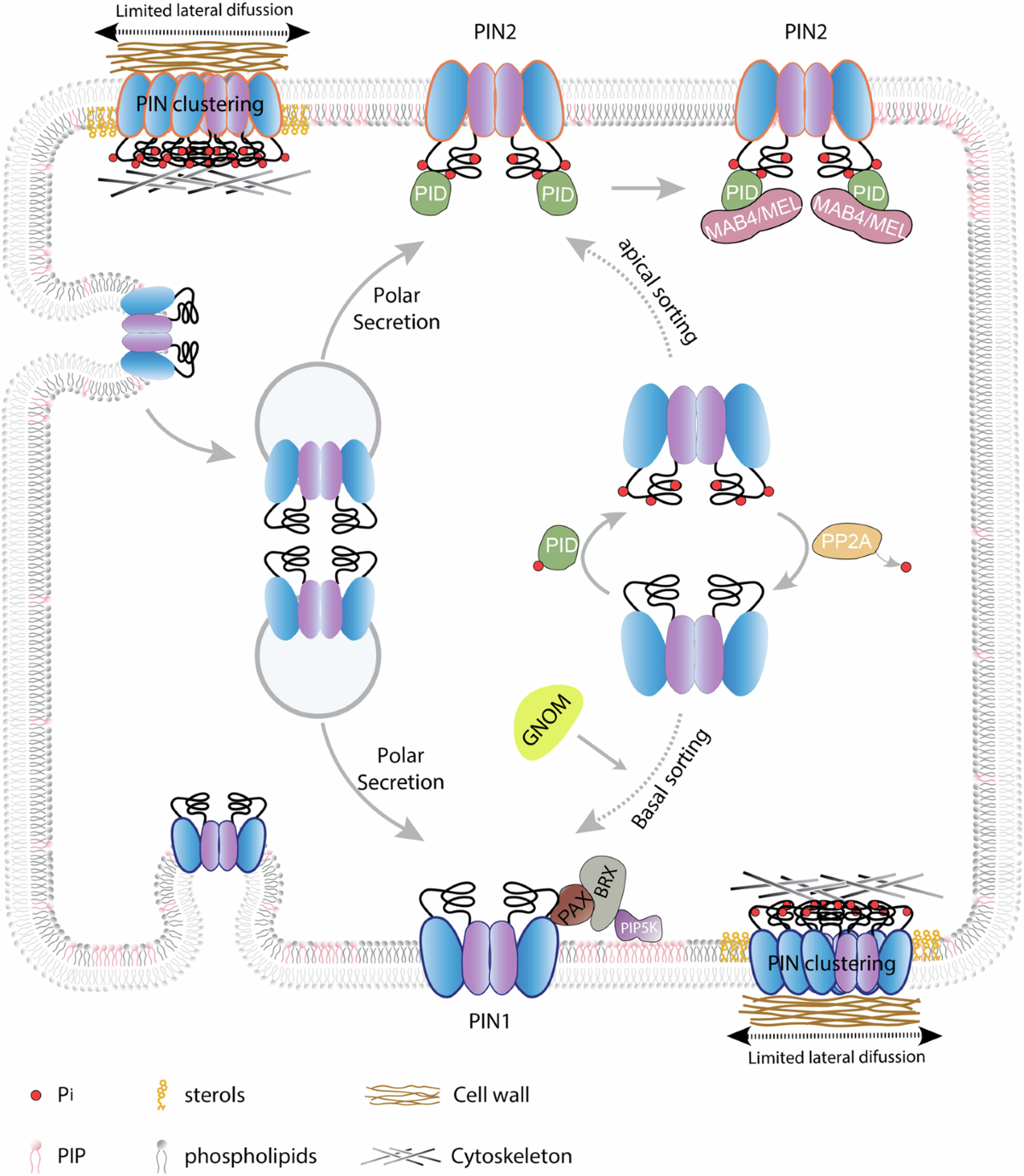 Easy Corn Salad, image size:1200x1377