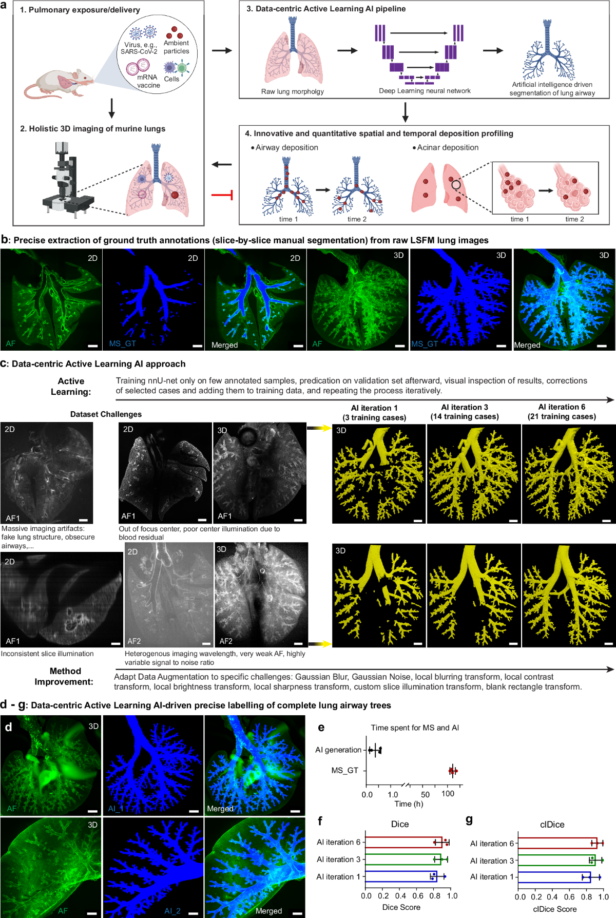 LungVis 1.0: an automatic AI-powered 3D imaging ecosystem unveils spatial profiling of nanoparticle delivery and acinar migration of lung macrophages | Nature Communications lungvis-1-0-an-automatic-ai-powered-3d-imaging-ecosystem-unveils-spatial-profiling-of-nanoparticle-delivery-and-acinar-migration-of-lung-macrophages-nature-communications