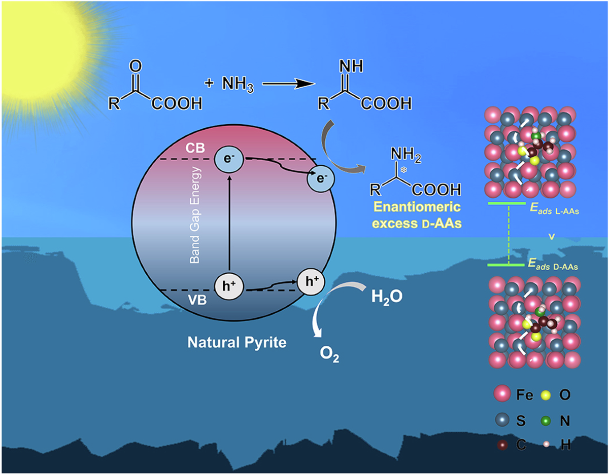 Prebiotic formation of enantiomeric excess D-amino acids on natural pyrite  | Nature Communications