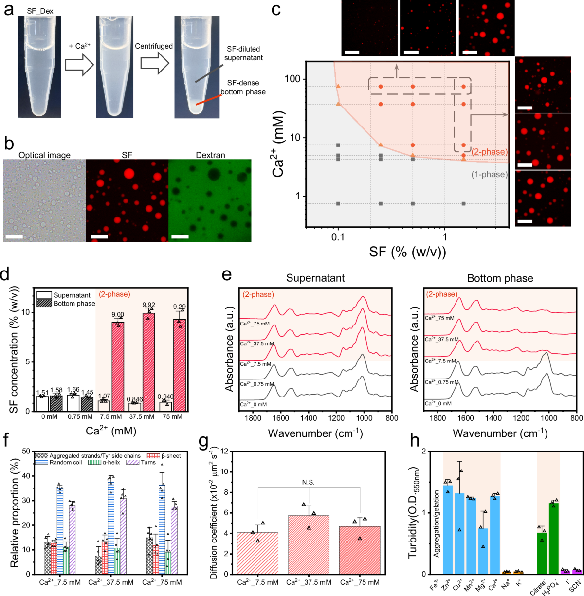 Calcium ion-triggered liquid-liquid phase separation of silk fibroin and  spinning through acidification and shear stress | Nature Communications