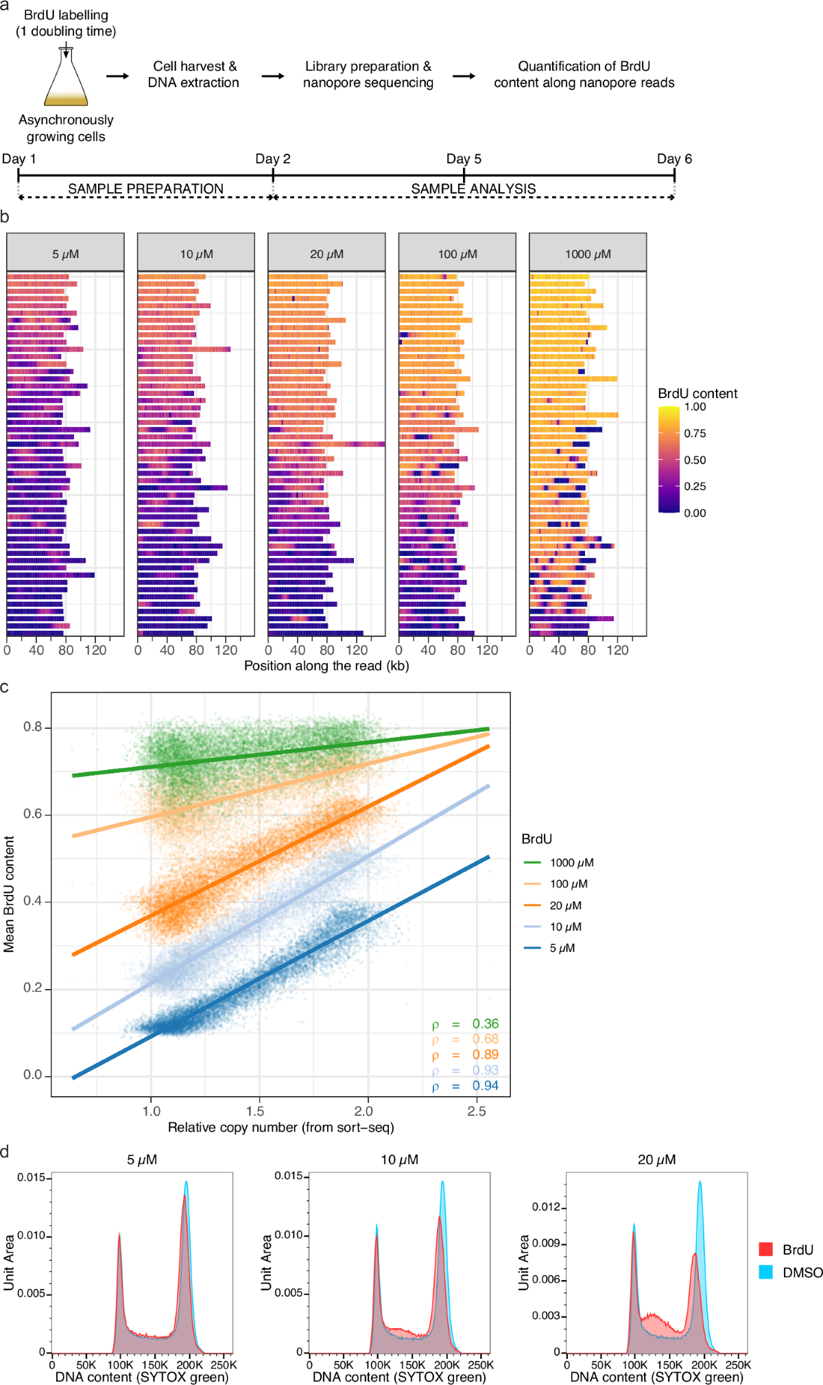 Telomere-to-telomere DNA replication timing profiling using single-molecule  sequencing with Nanotiming | Nature Communications
