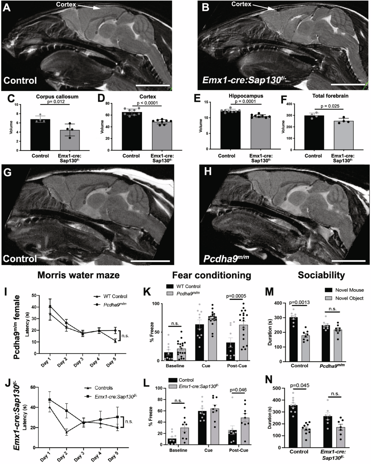 Mitotic block and epigenetic repression underlie neurodevelopmental defects  and neurobehavioral deficits in congenital heart disease | Nature  Communications