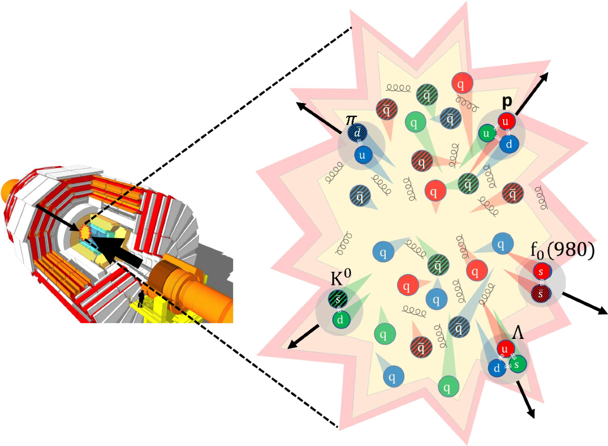 Elliptic anisotropy measurement of the f0(980) hadron in proton-lead  collisions and evidence for its quark-antiquark composition | Nature  Communications