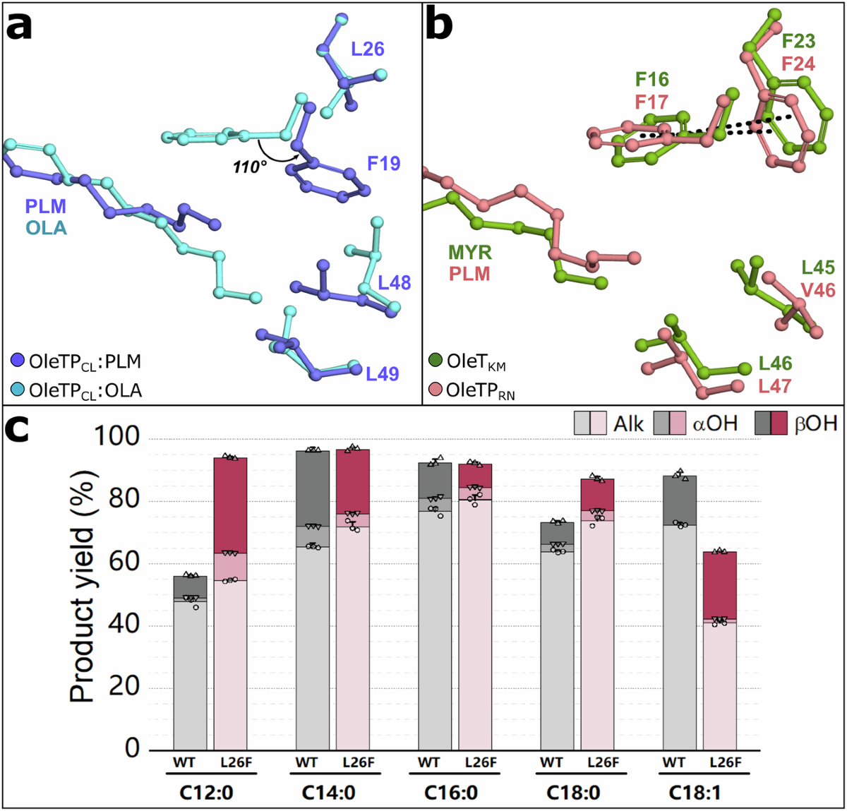 Coordinated conformational changes in P450 decarboxylases enable  hydrocarbons production from renewable feedstocks | Nature Communications