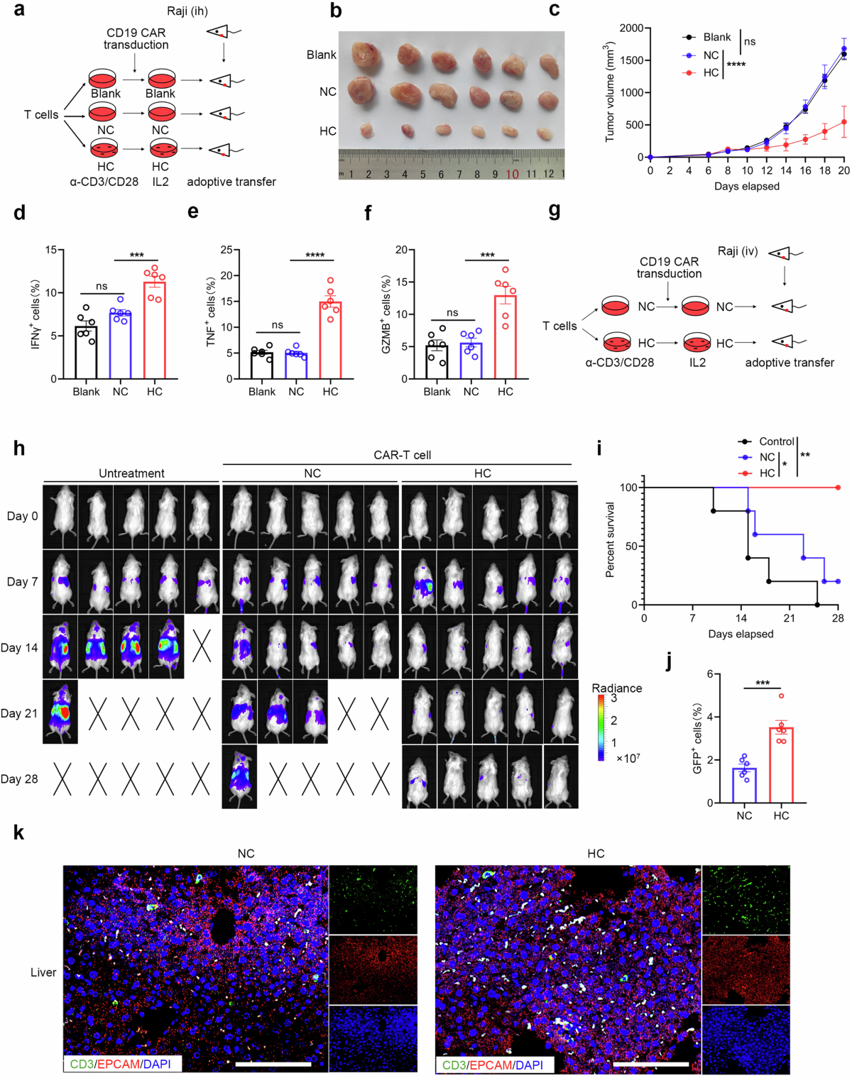 Charged substrate treatment enhances T cell mediated cancer immunotherapy |  Nature Communications