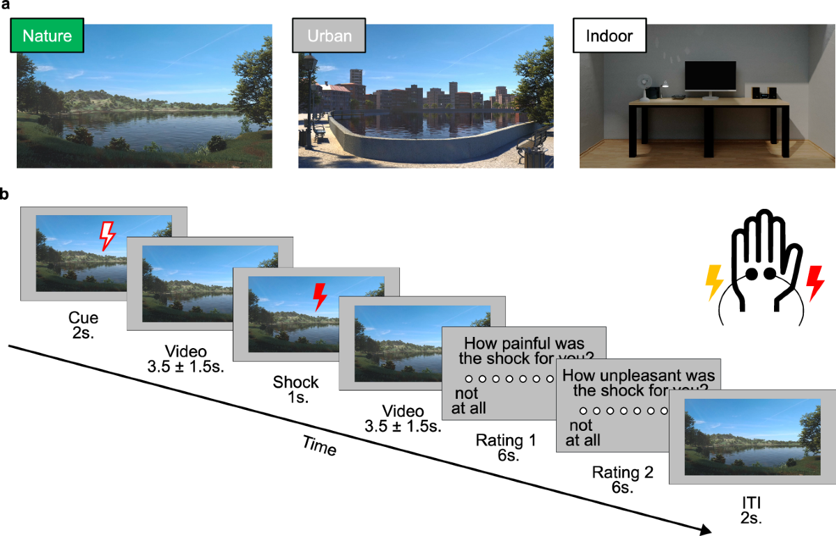 Nature exposure induces analgesic effects by acting on nociception ...