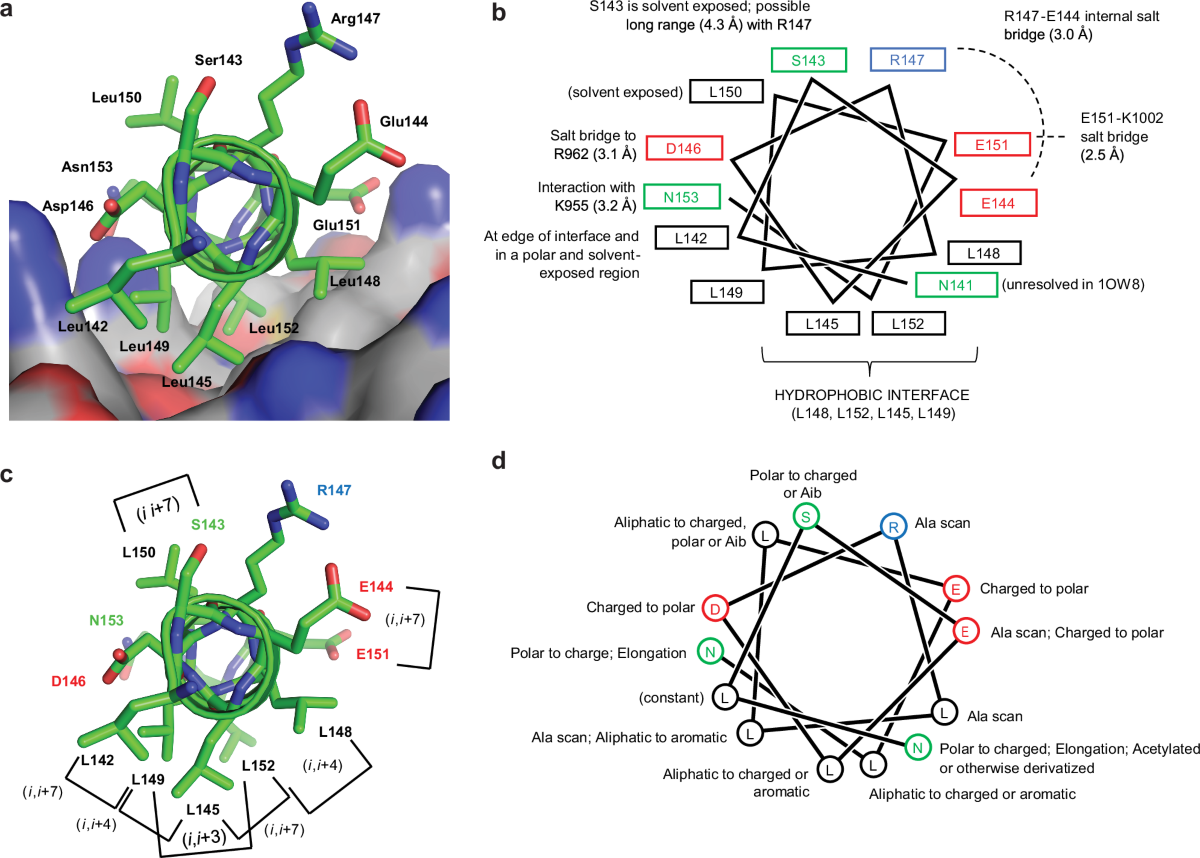 bpc-157 fak paxillin Structure-based discovery of hydrocarbon-stapled peptides that block scaffolding in cancer Contents:60 ml bpc 157 biote Quad Safe & Effective Pet B12 Therapy