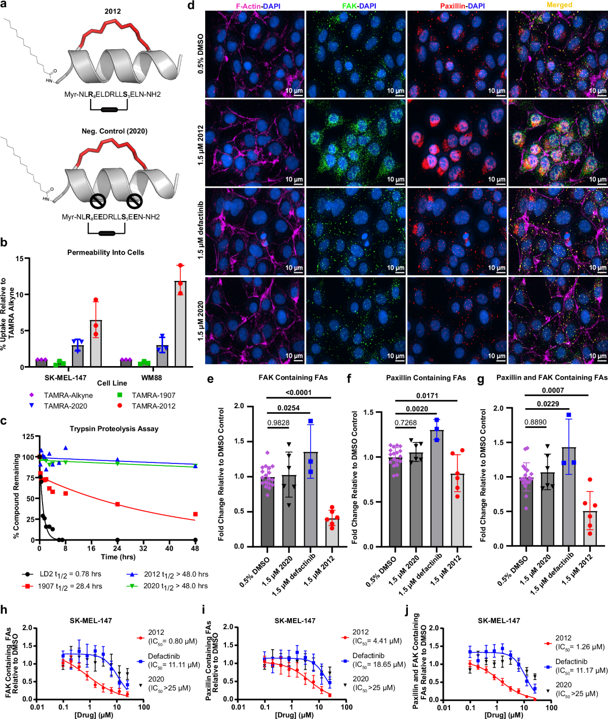 bpc-157 effects on mitochondria Frontiers