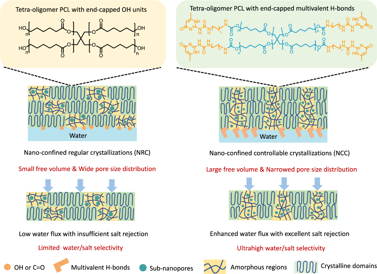 Nano-confined controllable crystallization in supramolecular polymeric  membranes for ultra-selective desalination | Nature Communications