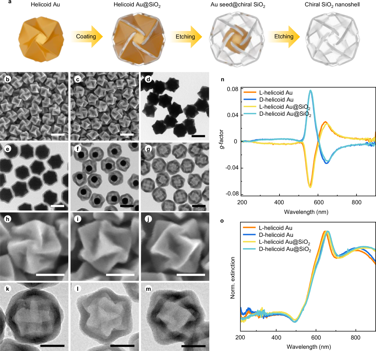 Enantioselective synthesis of chiroplasmonic helicoidal nanoparticles by  nanoconfinement in chiral dielectric shells | Nature Communications