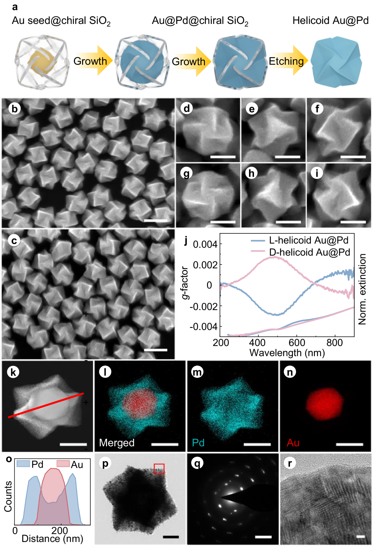 Enantioselective synthesis of chiroplasmonic helicoidal nanoparticles by  nanoconfinement in chiral dielectric shells | Nature Communications